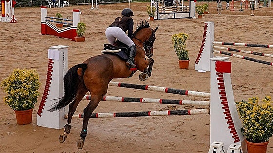 Muere una joven amazona al caer de un caballo durante un entrenamiento en Toledo