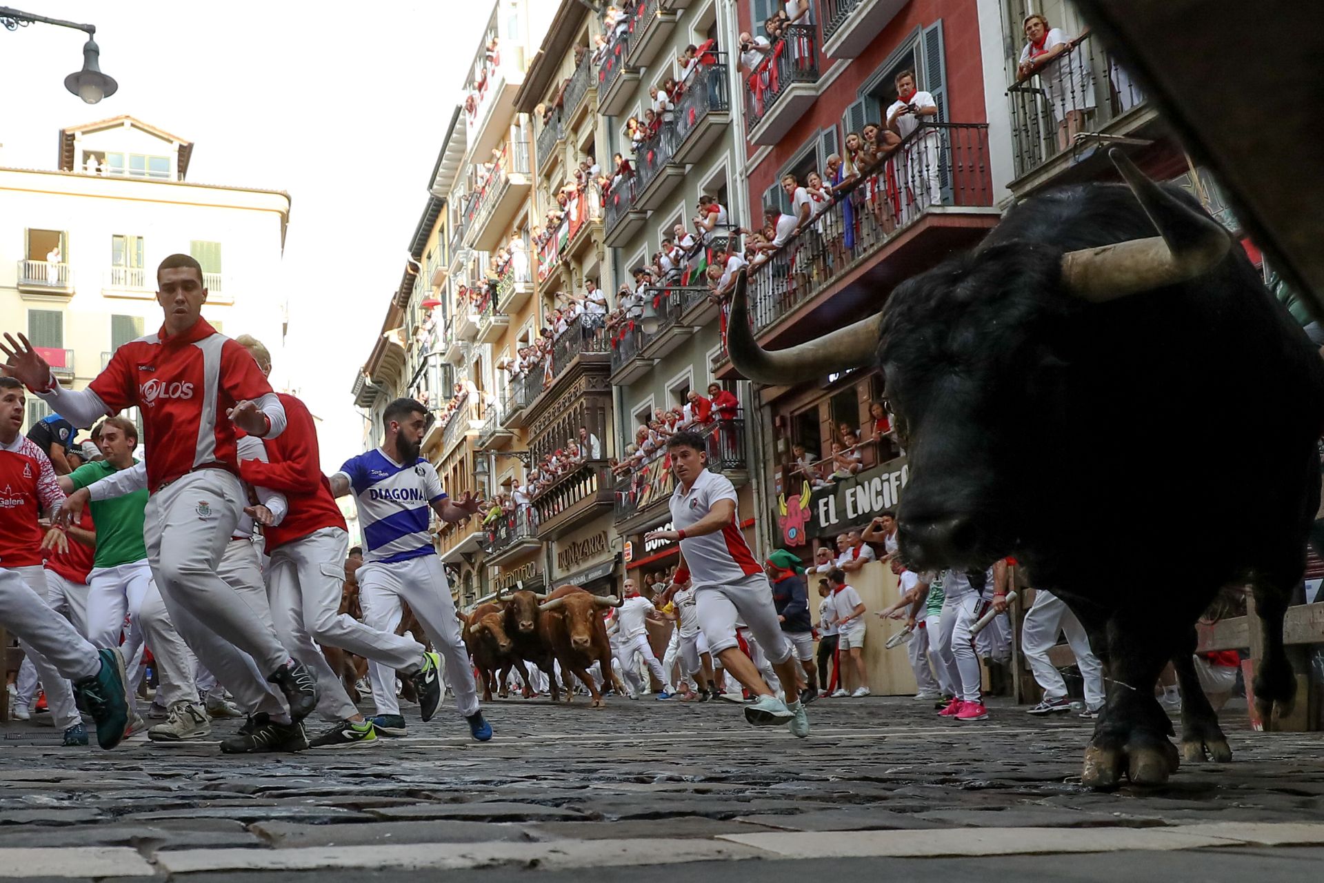 Ya desde su salida a las 8 en punto de la mañana de los corrales del Gas en otra mañana soleada en Pamplona, toda la torada ha ido bastante agrupada durante todo el encierro, sin apenas derrotes y con bastante nobleza, que es lo que ha permitido que el parte de heridos vuelva a ser sólo por contusiones pero sin tener que lamentar cornada alguna.