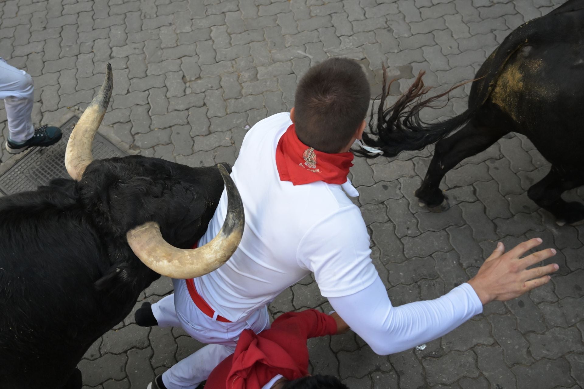 Por primera vez en estas fiestas los toros han ido por delante de los cabestros en casi todos los tramos del recorrido gracias a que uno de los toros negros ha tomado la delantera de sus hermanos y ha impulsado al resto de la manada.