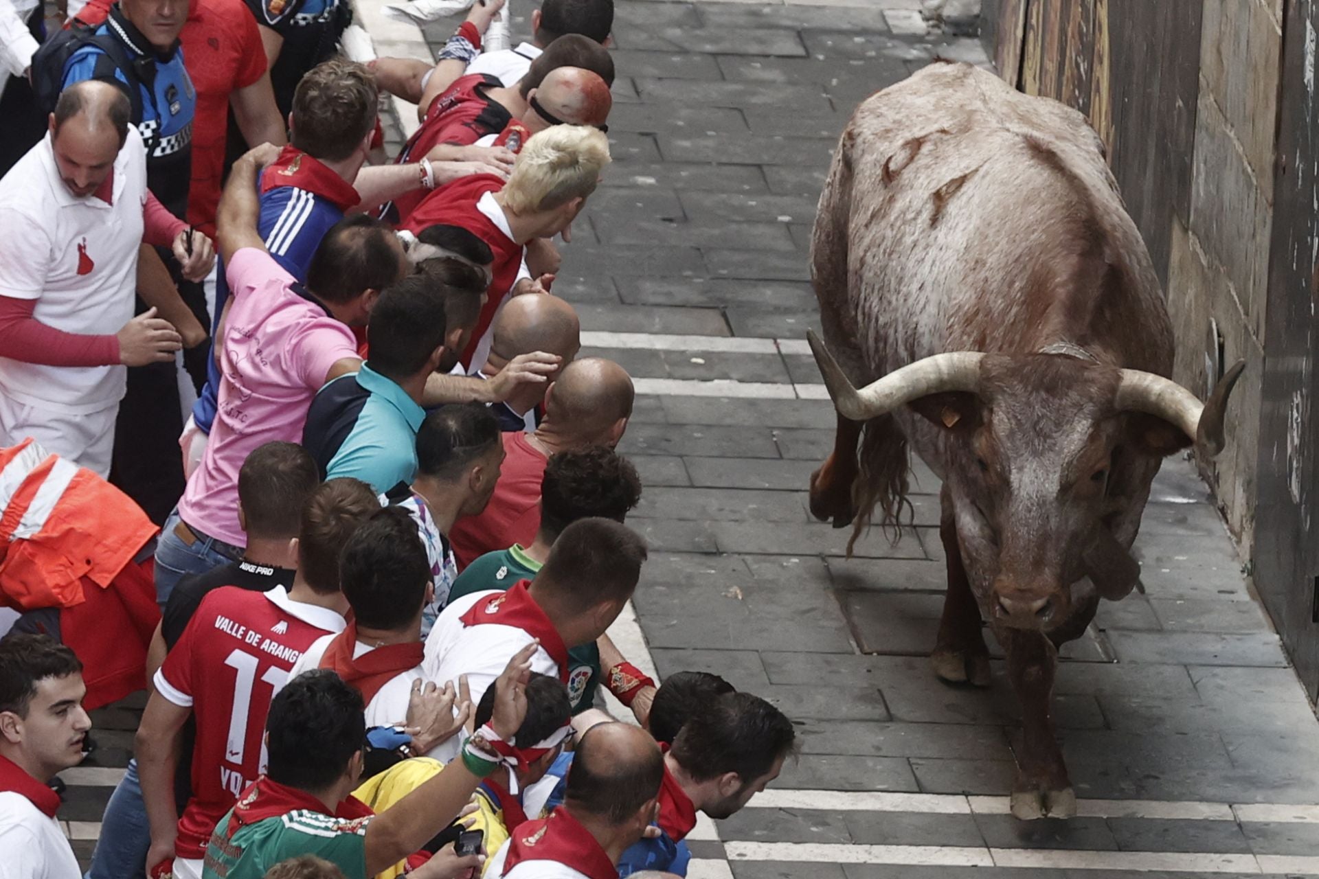 Los mozos observan a uno de los toros de la ganadería de Domingo Hernández Martín, de El Palancar de Traguntía (Salamanca).