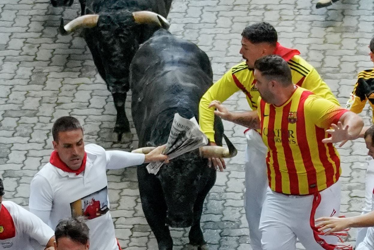 Los mozos son perseguidos por toros de la ganadería de Jandilla. 