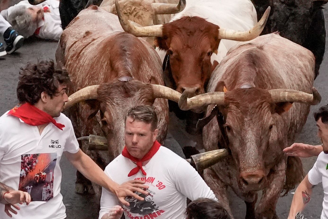 Lo toros de Jandilla llevan cinco temporadas consecutivas bajando de los 2 minutos y 20 segundos. Es la única ganadería de todas las anunciadas que puede presumir de este dato en el último lustro.