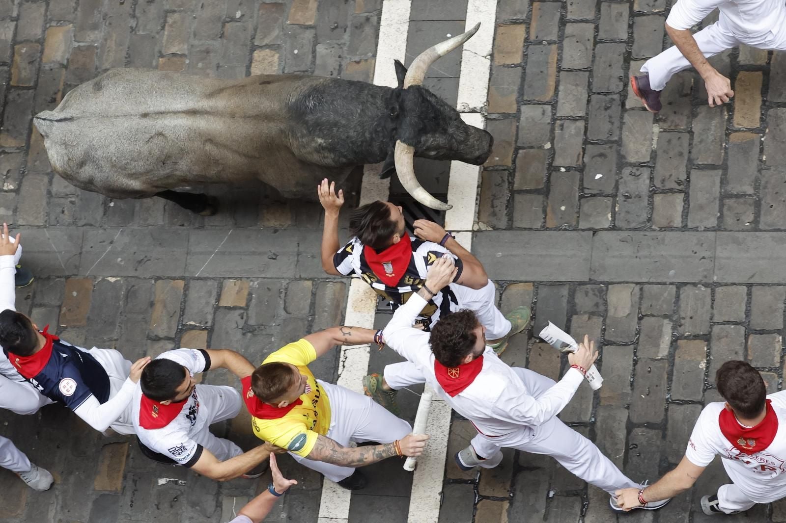 Los toros de José Escolar son toros que infunden muchísimo respeto, tanto para los corredores como para los toreros.