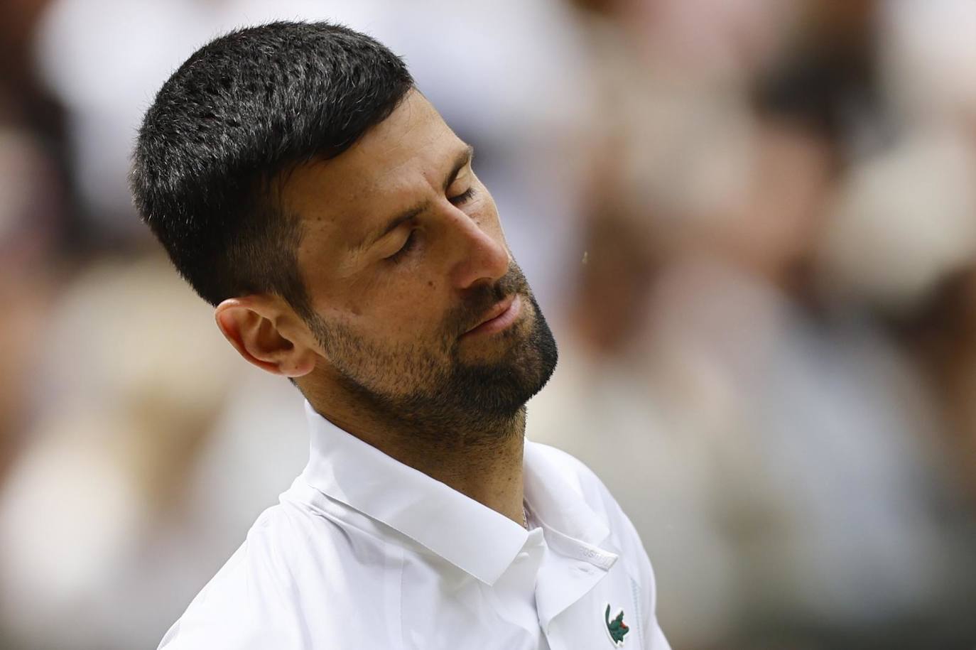 Djokovic lamentándose tras fallar un golpe.