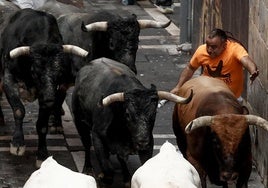 Las mejores imágenes del octavo encierro de San Fermín