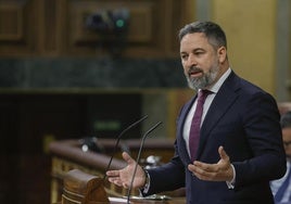 El líder de Vox, Santiago Abascal, en el Congreso de los Diputados