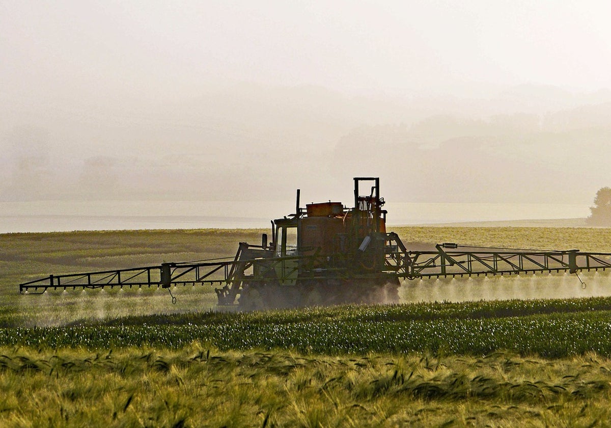 Operarios de una explotación agrícola vierten pesticidas sobre la plantación.