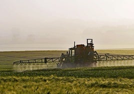 Operarios de una explotación agrícola vierten pesticidas sobre la plantación.