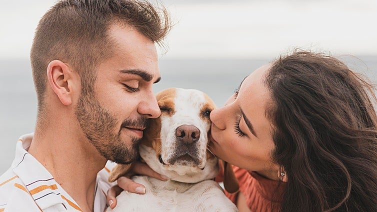 Disfruta del verano y de tus vacaciones, pero siempre con tu perro al lado