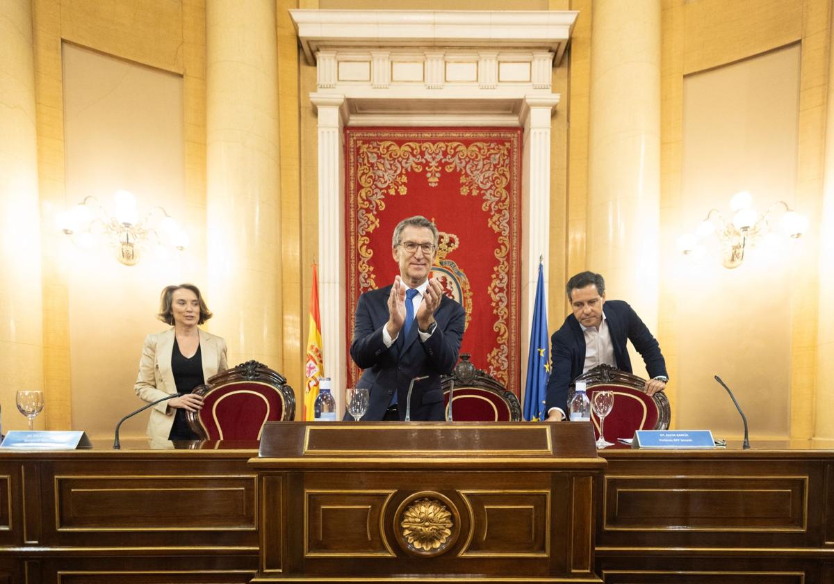 Alberto Núñez Feijóo, ayer en el Senado.