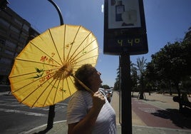 Las altas temperaturas alteran el funcionamiento del organismo.