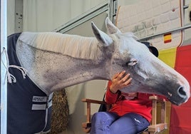 Cuadras con aire acondicionado o el privilegio de ser caballo olímpico