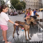 La Aemet lanza un aviso especial por ola de calor