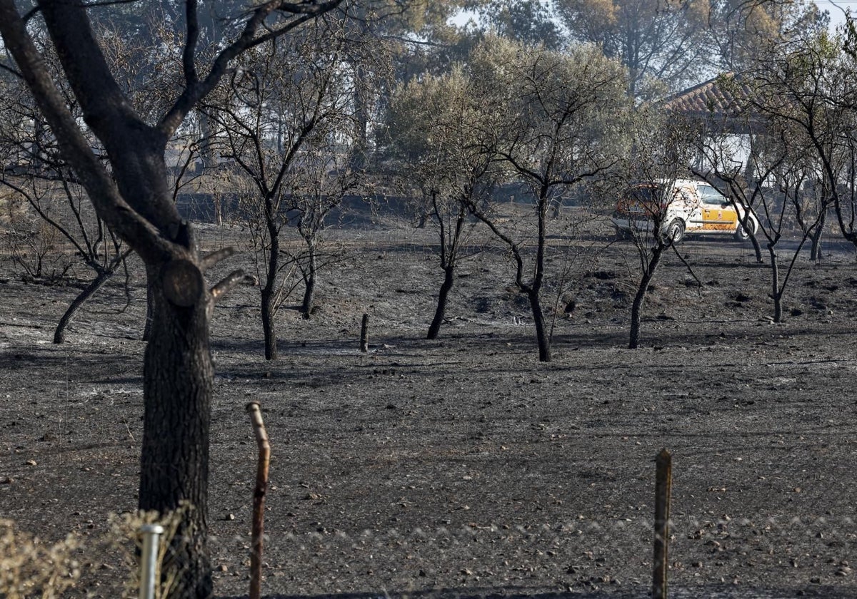 Incendio en la localidad madrileña de Loeches