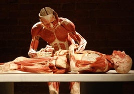 La exposición anatómica 'Bodies' fue acusada de mostrar cadáveres de chinos ejecutados.