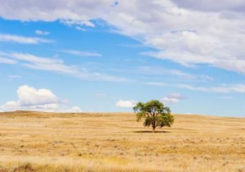 ¿Cómo sabemos que un verano es el más caluroso de la historia?