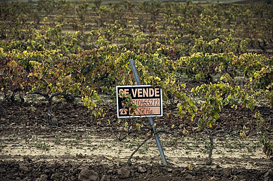 La demanda de vino