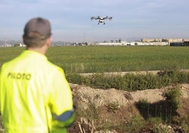 Un dron interviene en la campaña para el tratamiento contra los mosquitos que propagan el Virus del Nilo Occidental (VNO) sobre un arrozal