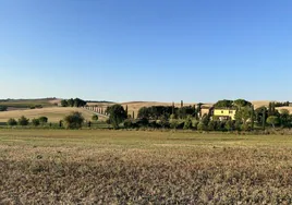 Paisaje de Monte d'Arbia.