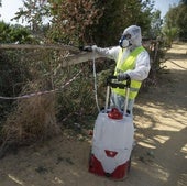 ¿Por qué el virus del Nilo ha hecho saltar todas las alarmas?