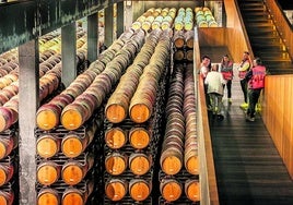 Nave de barricas de Campo Viejo, en Logroño, la bodega con mayor capacidad para el envejecimiento de vinos de Rioja.