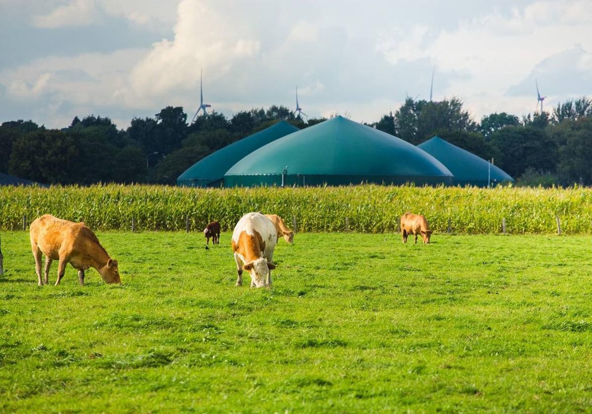 Cepsa inicia las operaciones como 'trader' de biometano