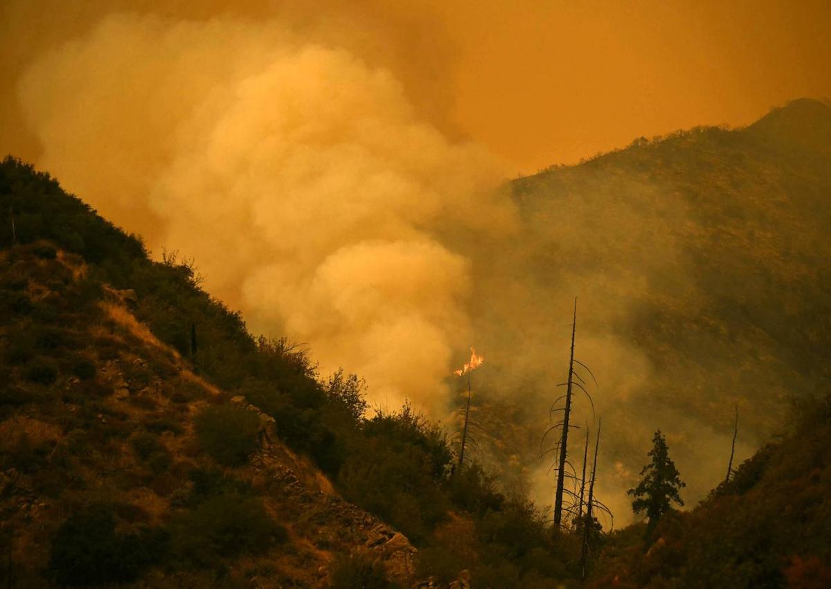 Imagen secundaria 1 - El 'Line Fire' ha quemado miles de hectáreas en California y ha obligado a los bomberos a multiplicarse