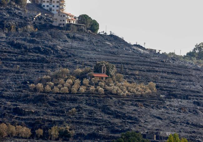 Incendio en un bosque en Siria.