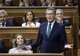 Alberto Núñez Feijóo, líder del PP, en la sesión de control de hoy