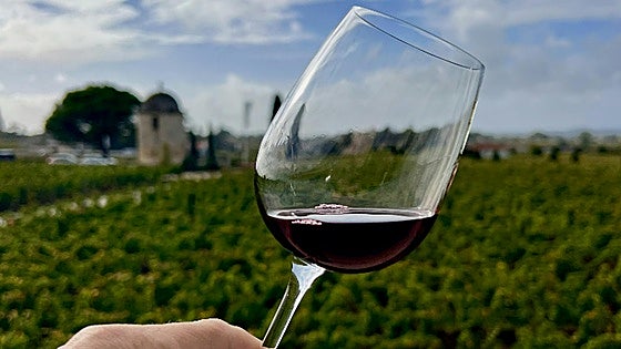 Siete imprescindibles para los amantes del vino