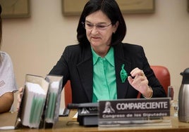 La presidenta de la CNMC, Cani Fernández, en su comparecencia en el Congreso.