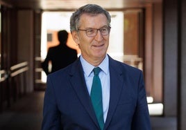 El presidente del PP, Alberto Núñez Feijóo.