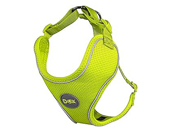 Arnés para perro o gato en varios colores y tamaños.
