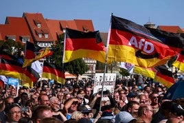 Manifestación de simpatizantes de AfD.