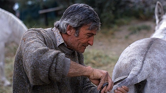 El pelador de burros y otros oficios de antaño