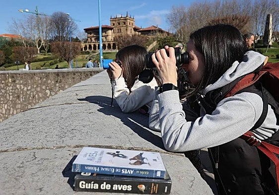 El Día de las Aves pone el foco en siete especies amenazadas