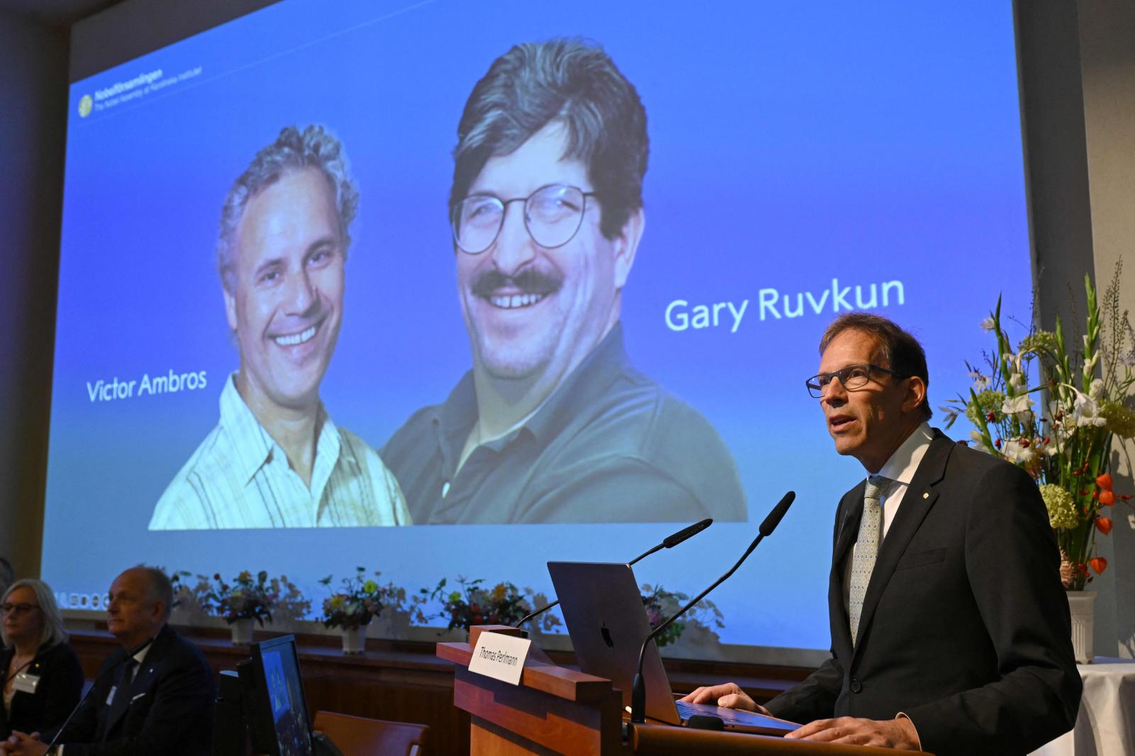 El Nobel de Medicina premia a los descubridores de los microARN