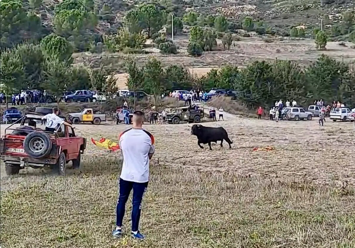 Imagen del encierro de campo en el que falleció el toro.