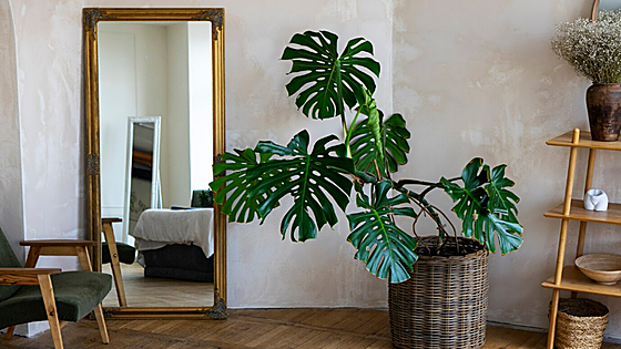 Por qué necesitas un espejo de suelo: son prácticos, decoran y dan sensación de amplitud