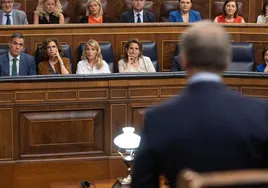 El líder del PP, Alberto Núñez Feijóo (de espaldas), interpela en el Congreso al presidente del Gobierno, Pedro Sánchez.