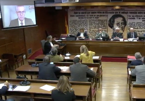 Leonardo Marcos durante su comparecencia en vídeo conferencia en la comisión en en Senado