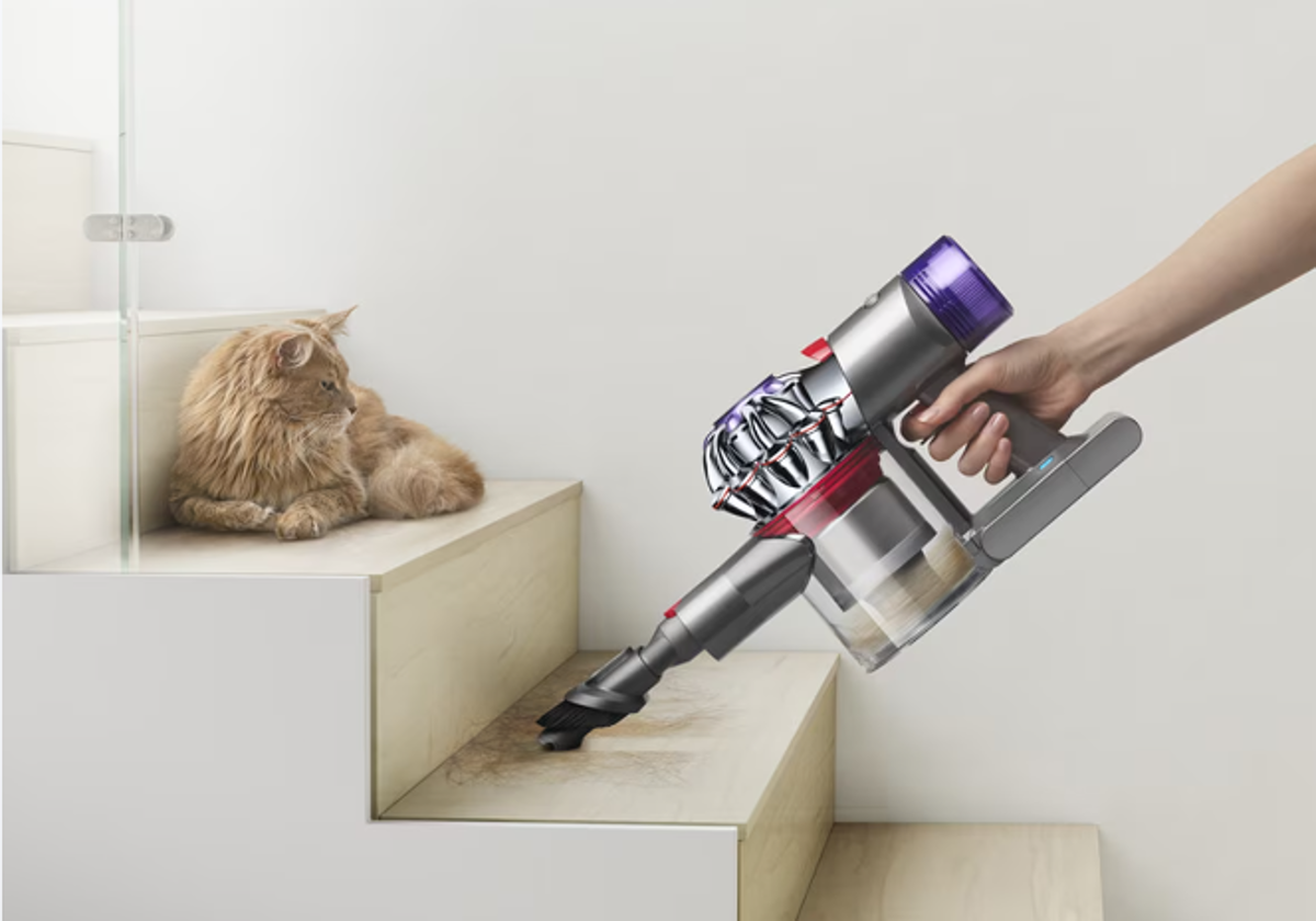 Aspiradora de mano Dyson v8 succionando el  pelo enfrente de un gato naranja.