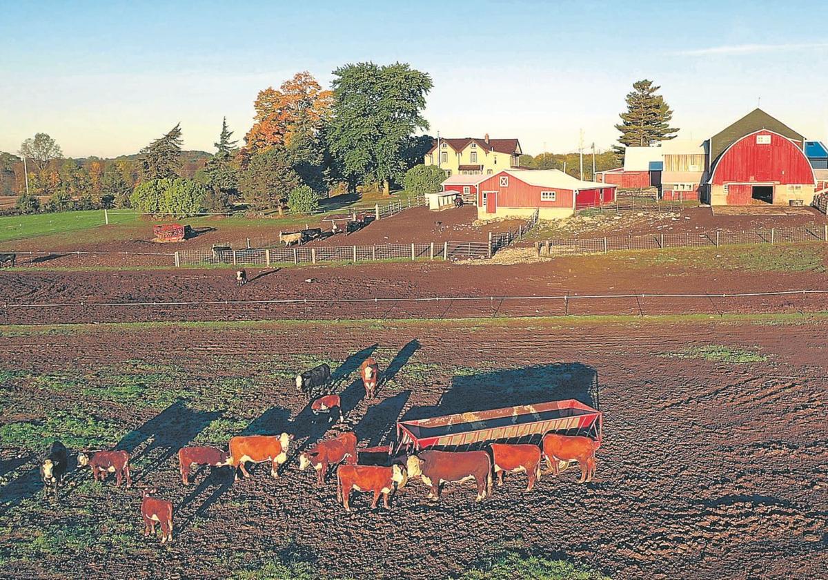 El rojo de los graneros y las vacas es uno de los colores que más se repite en el paisaje del estado de Wisconsin.