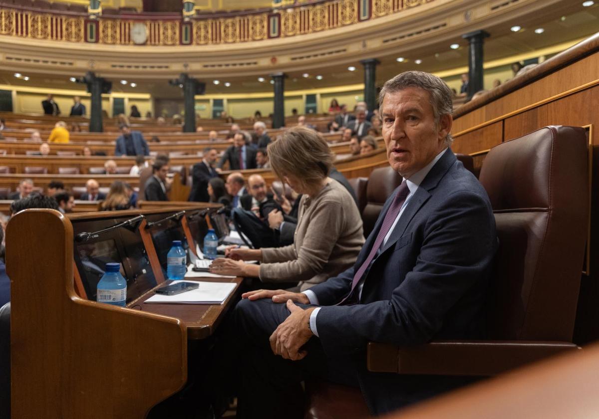 Alberto Núñez Feijóo, líder del PP, en el Congreso de los Diputados