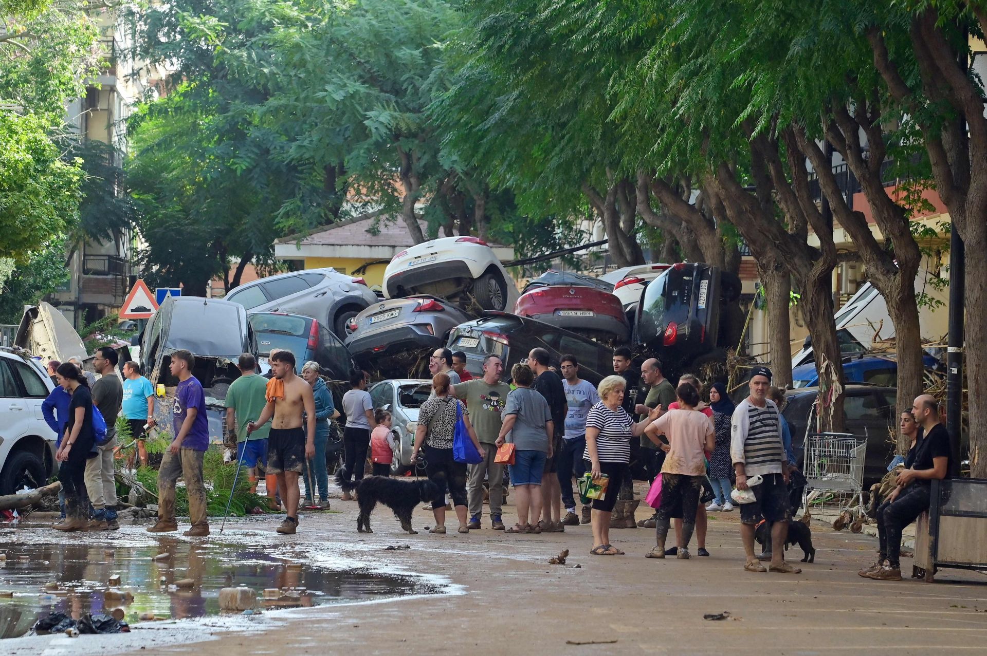 Los destrozos causados por la DANA, en imágenes