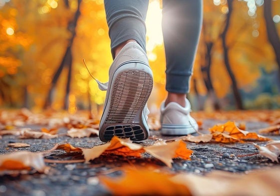 Cómo caminar para acabar con el sobrepeso