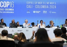 Sesión de cierre de la COP16.