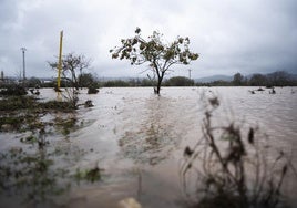 El Río Magre, que pasa por Turís, en una imagen tomada en Alfarp.