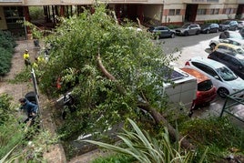 Las consecuencias de las fuertes lluvias en Barcelona, en imágenes