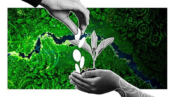 COP29: una cita para llenar la hucha contra el cambio climático